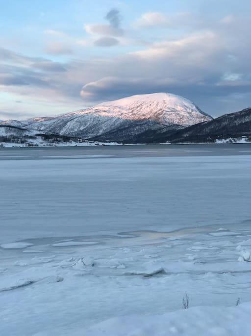 Trivelig fritidshus på Årnes, Senja Straumstad Eksteriør billede