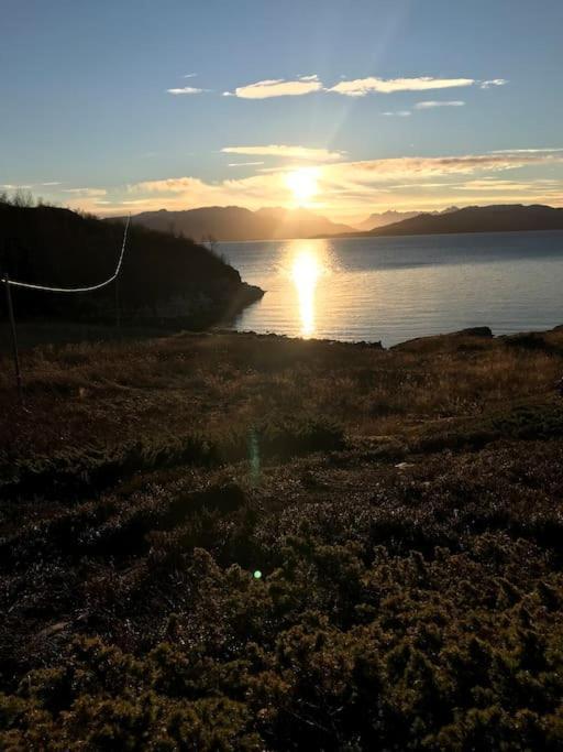 Trivelig fritidshus på Årnes, Senja Straumstad Eksteriør billede