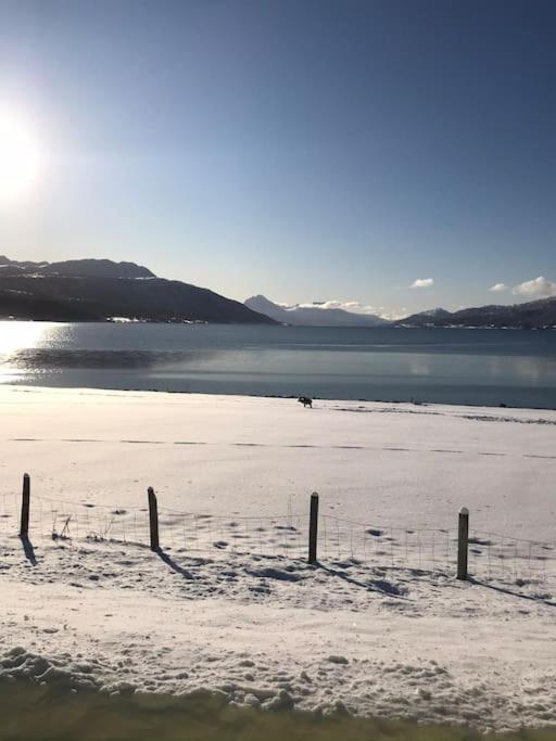 Trivelig fritidshus på Årnes, Senja Straumstad Eksteriør billede